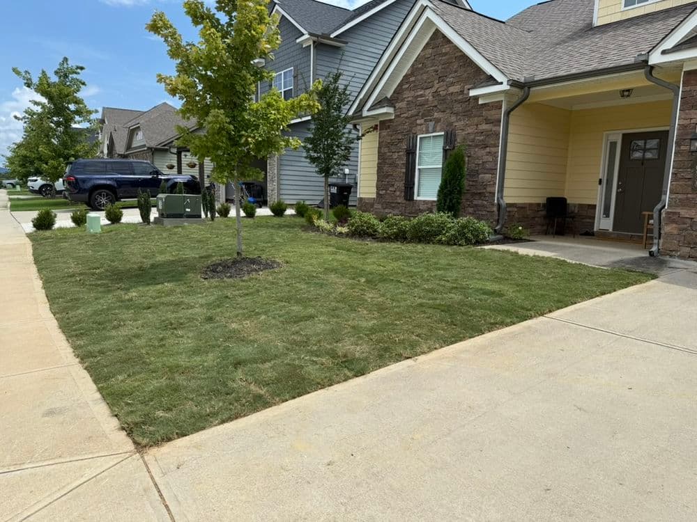 Curb Appeal Boost with New Sod and Plant Installation in Apison image