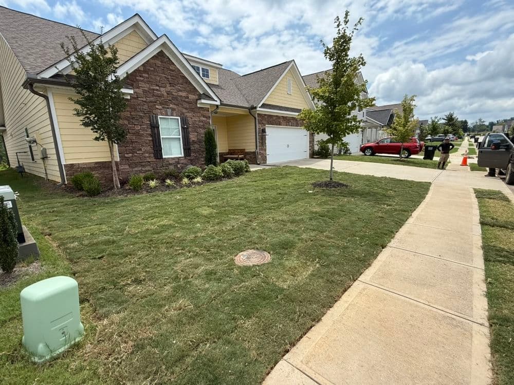 Gallery photos for Curb Appeal Boost with New Sod and Plant Installation in Apison: Image #1